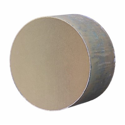 Diesel Exhaust Gas Purification SCR